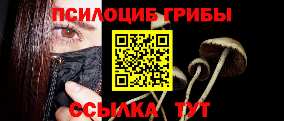 Псилоцибиновые грибы мухоморы Строитель